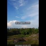 ratu boko