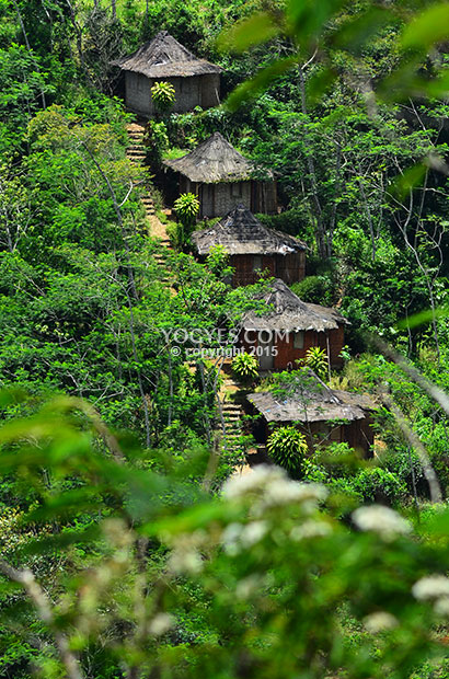 Puncak Suroloyo