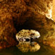 cave tubing kalisuci