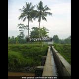 selokan mataram