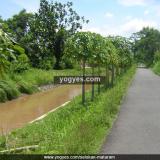selokan mataram