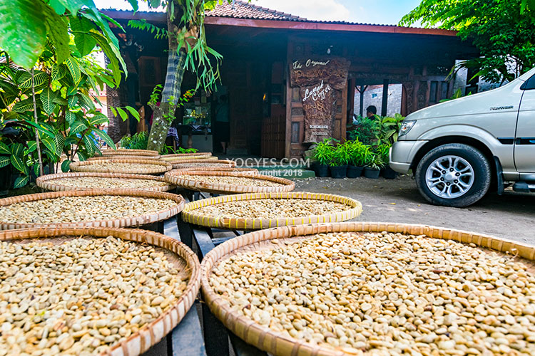 Foto #11 Pawon Luwak Coffee