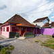deep purple homestay