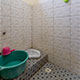calathea homestay