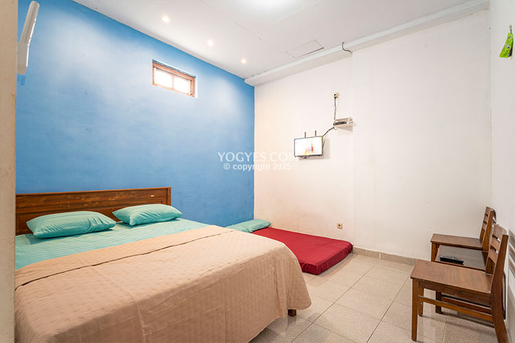 calathea homestay