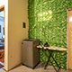 girly homestay