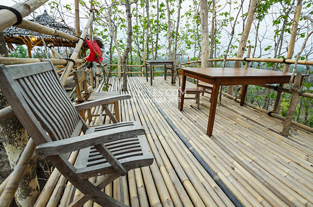 Tanaman Jati Terlihat Menembus Konstruksi Bambu